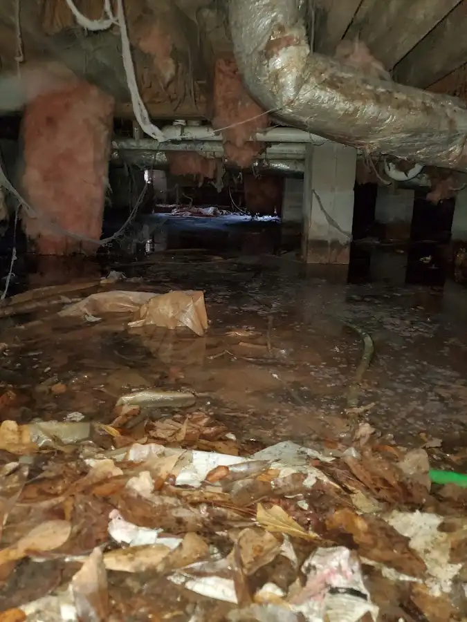 Crawl space flood assessment for Leak Detection & Repair in Southampton